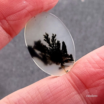 Scenic Dendritic Agate