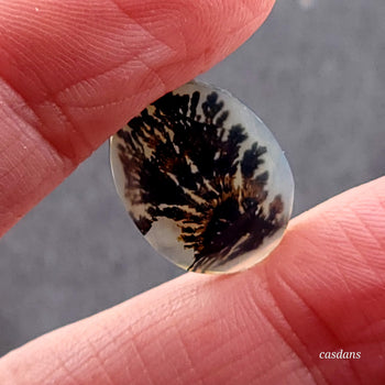 Scenic Dendritic Agate