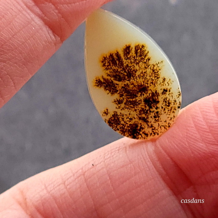 Scenic Dendritic Agate