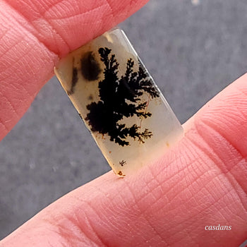 Scenic Dendritic Agate