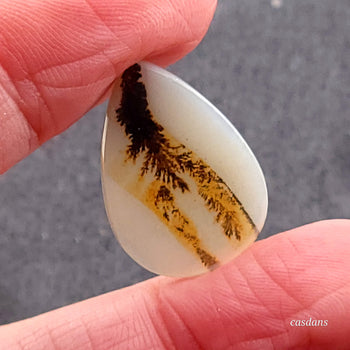 Scenic Dendritic Agate