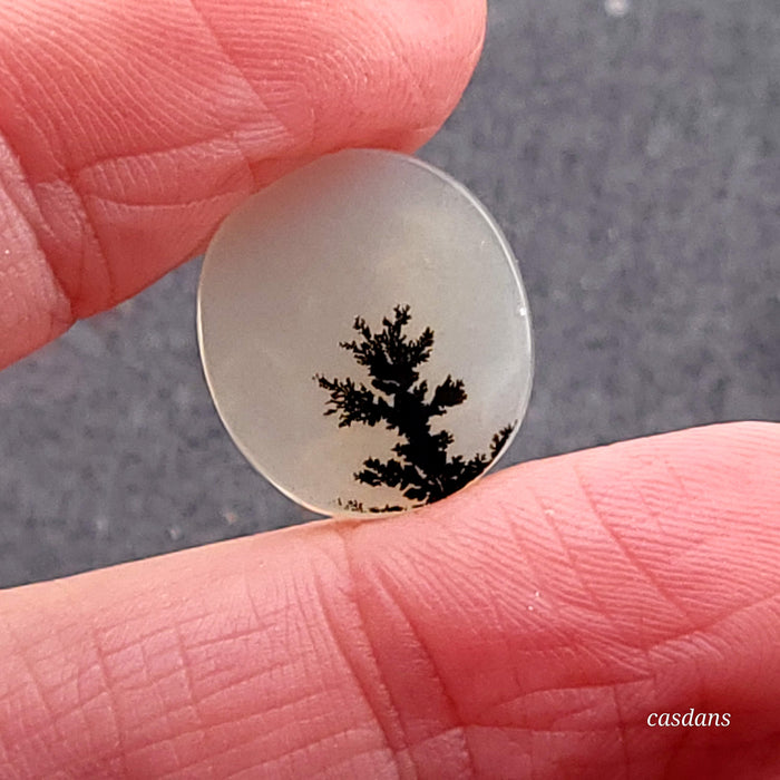 Scenic Dendritic Agate