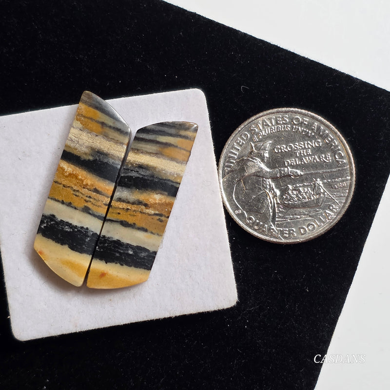 Java Stripe Jasper