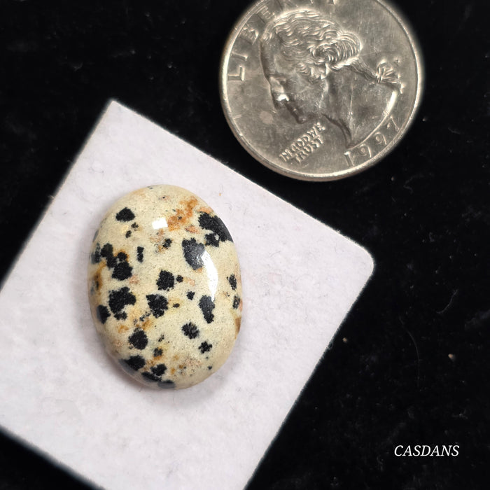 Dalmatian Stone