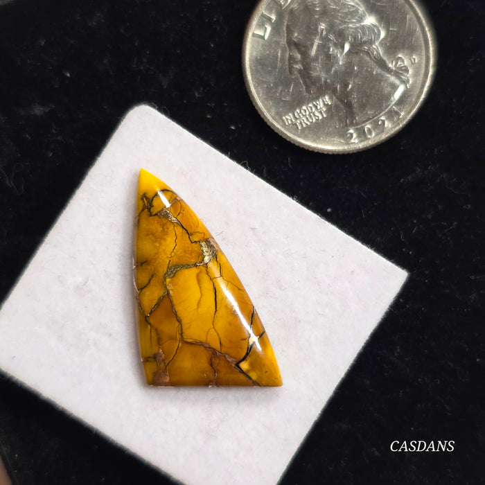 Goldenrod Composite