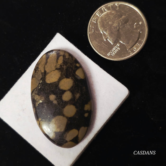 Scapolite Mica