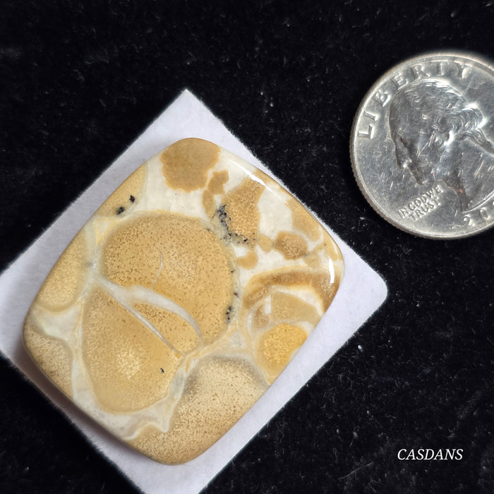Cobra Jasper