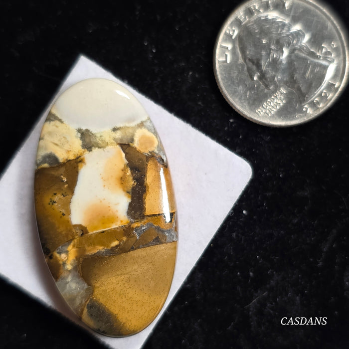 Cobra Jasper
