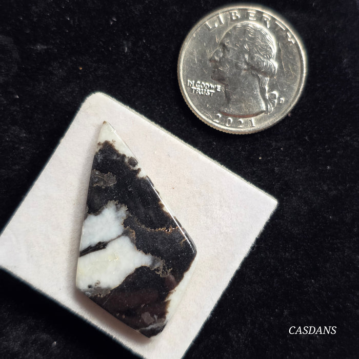 Zebra Jasper