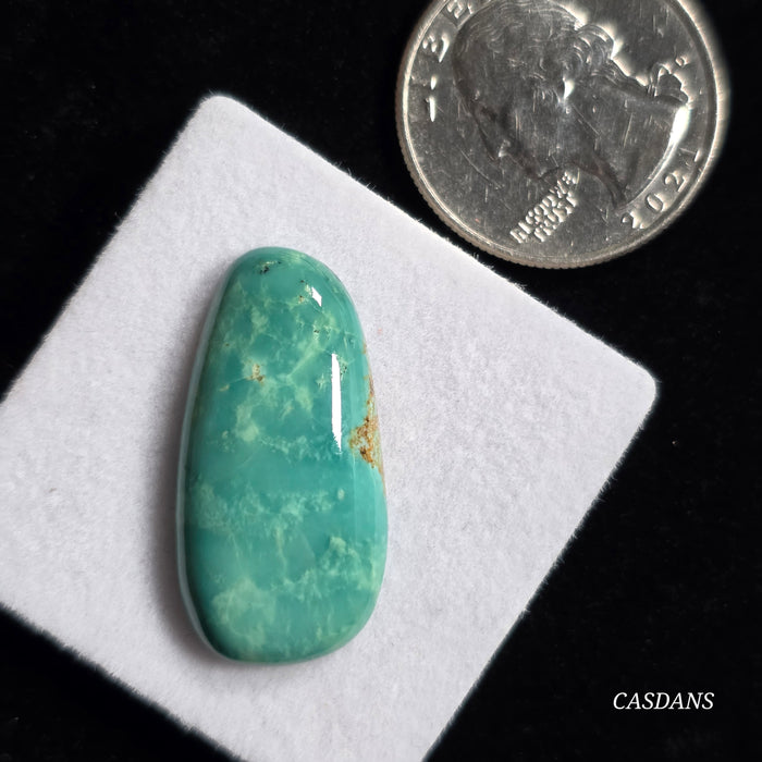 Campitos Turquoise