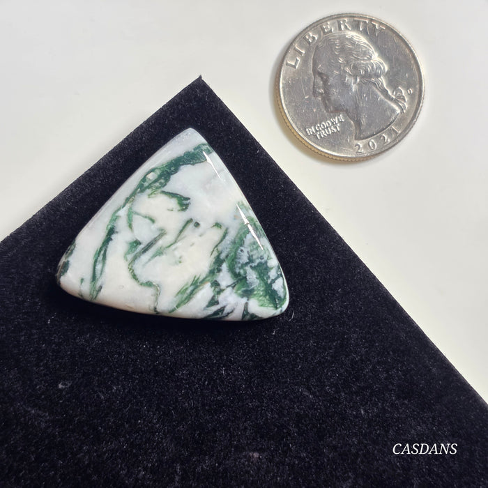 Tree Agate