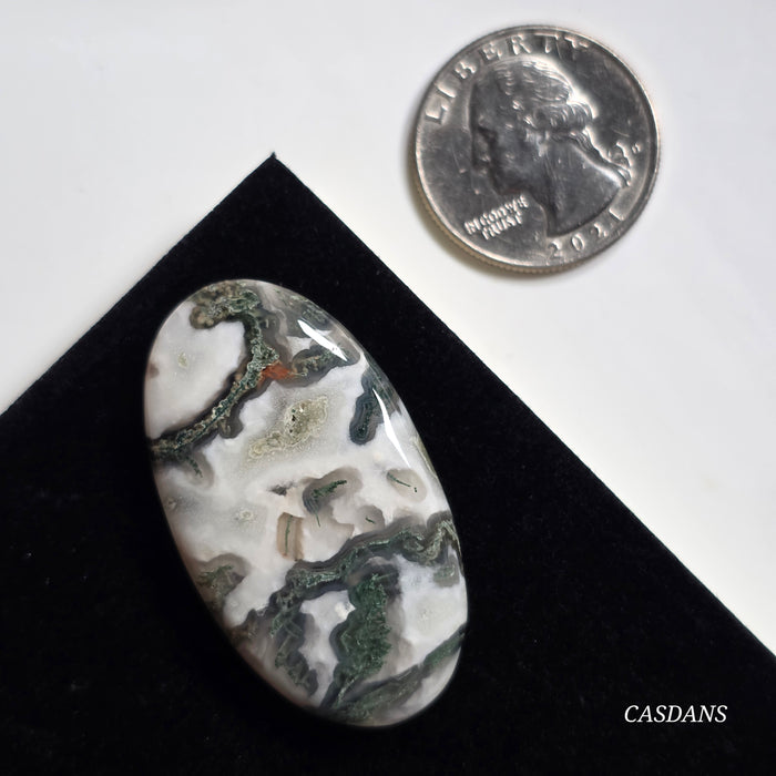 Tree Agate