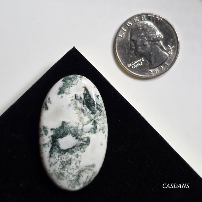 Tree Agate