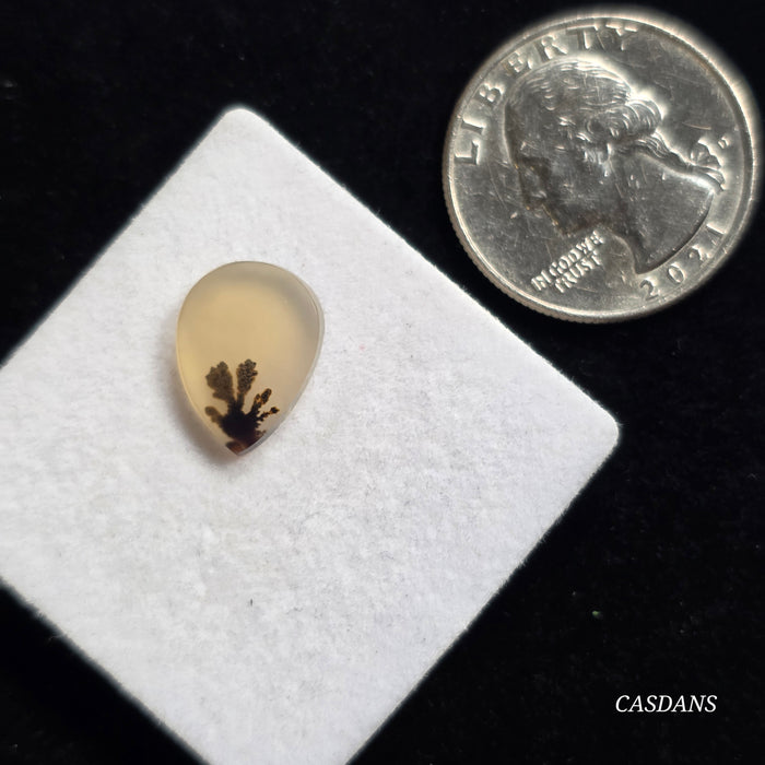 Scenic Dendritic Agate