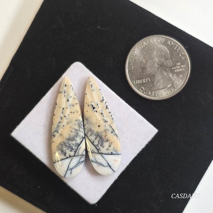 Dendritic Agate