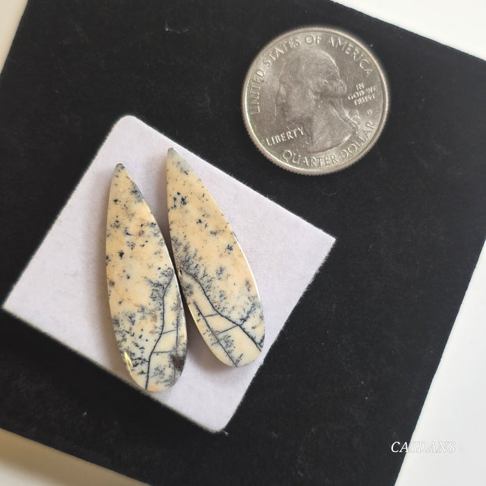 Dendritic Agate