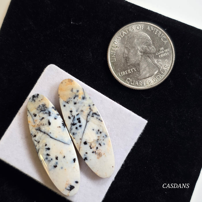 Dendritic Agate