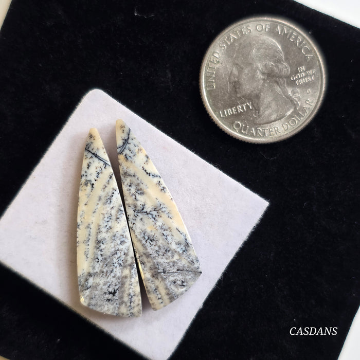 Dendritic Agate
