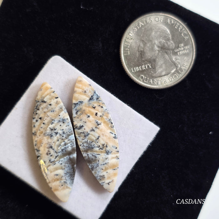 Dendritic Agate