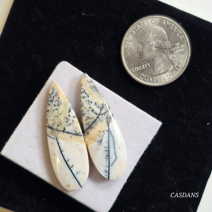 Dendritic Agate