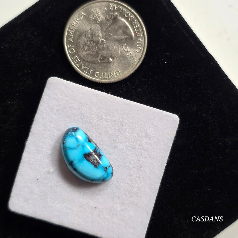 Kingman Black Web Turquoise