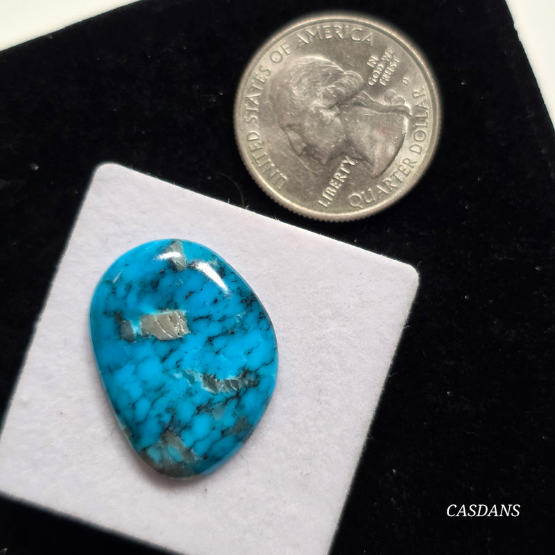 Kingman Black Web Turquoise