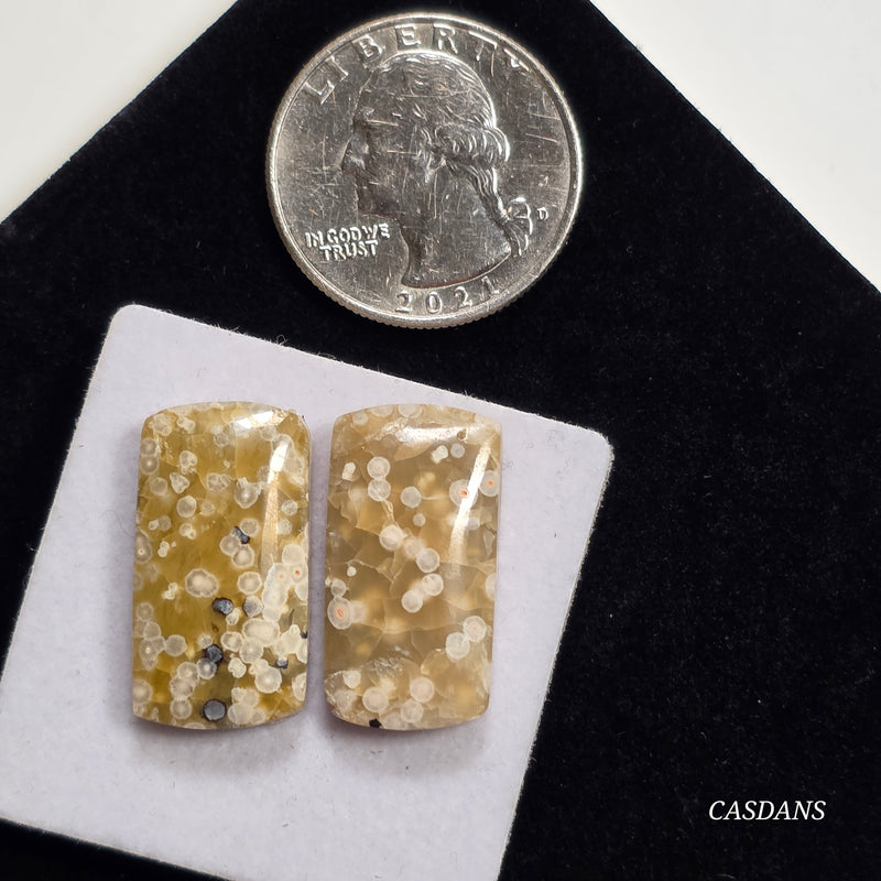 Frog Egg Orbicular Jasper