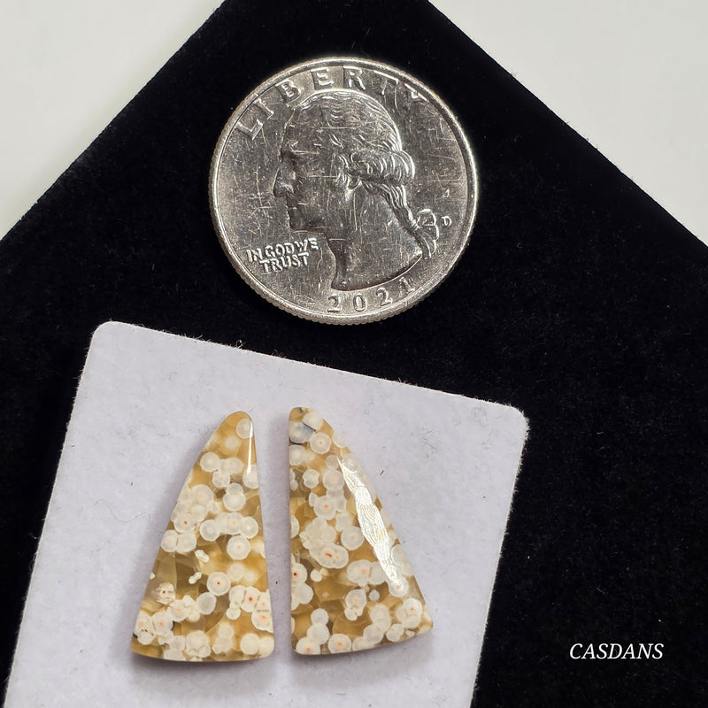 Frog Egg Orbicular Jasper