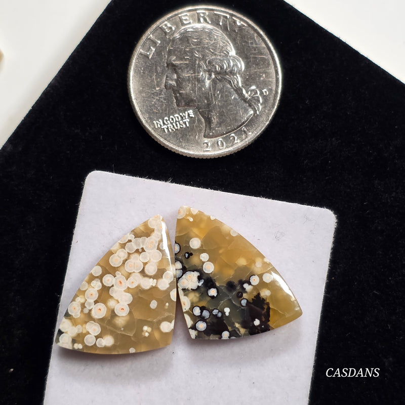 Frog Egg Orbicular Jasper