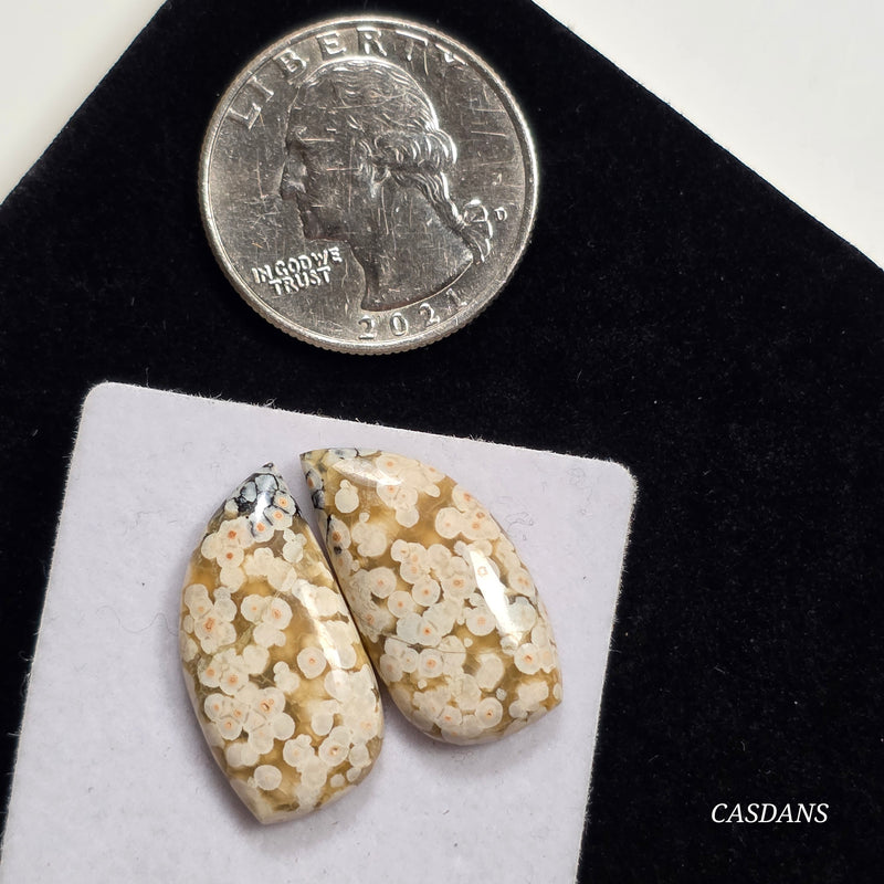 Frog Egg Orbicular Jasper