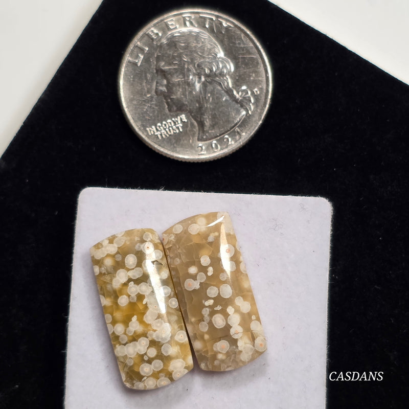 Frog Egg Orbicular Jasper