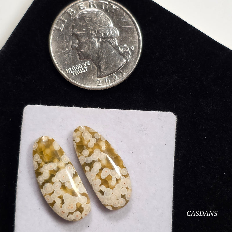 Frog Egg Orbicular Jasper