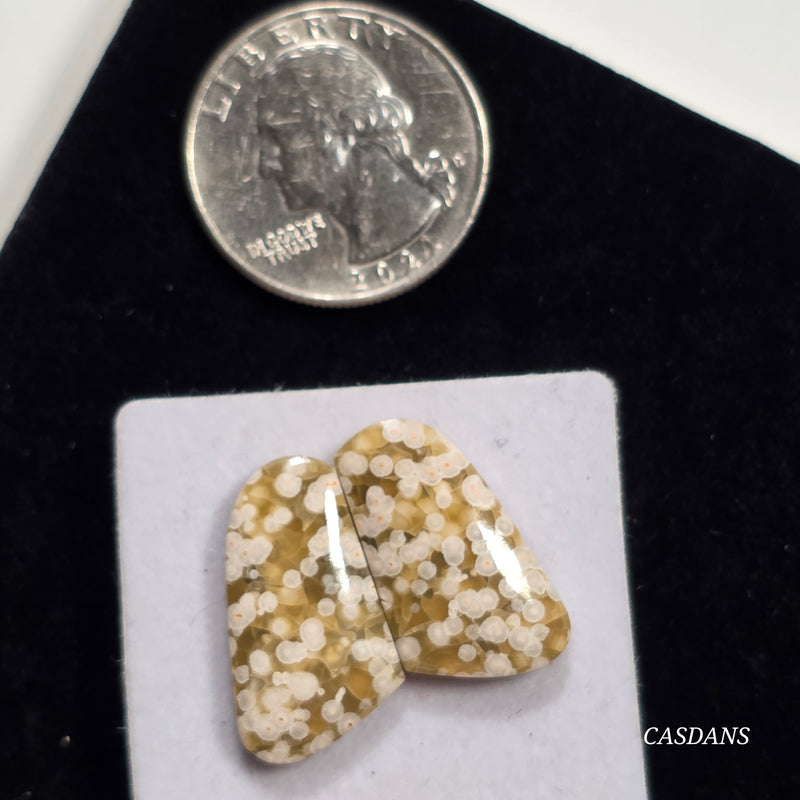 Frog Egg Orbicular Jasper