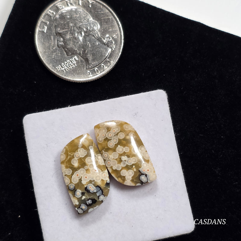 Frog Egg Orbicular Jasper