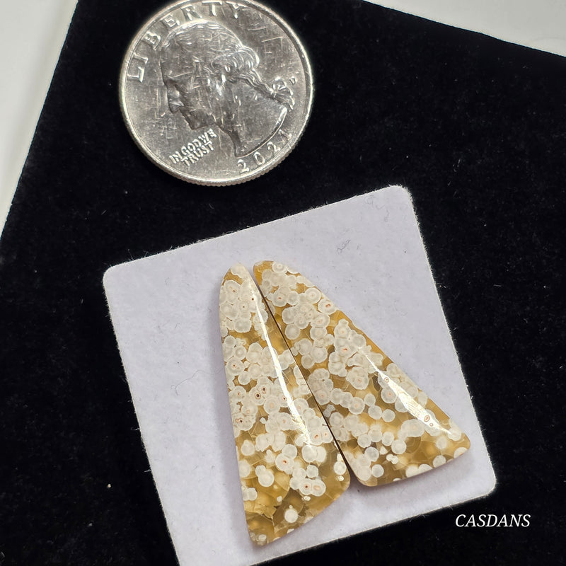 Frog Egg Orbicular Jasper