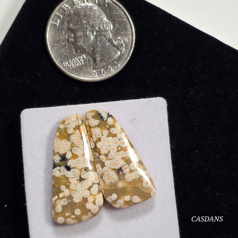 Frog Egg Orbicular Jasper