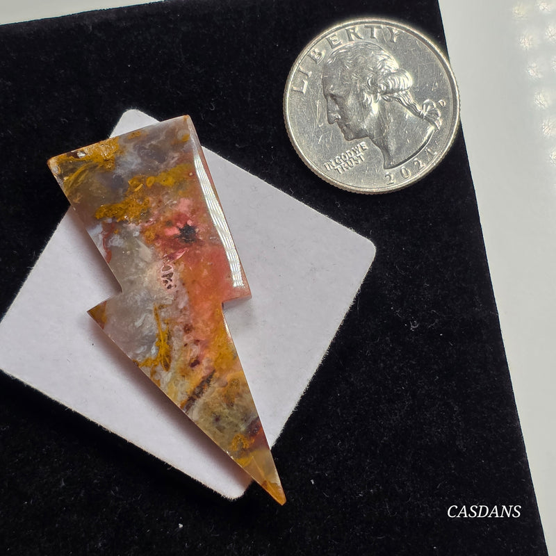 Petrified Wood Lightning Bolt Cabochon