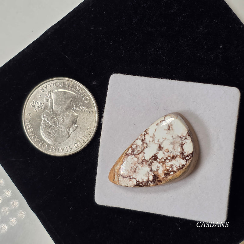 Wild Horse Magnesite Cabochon
