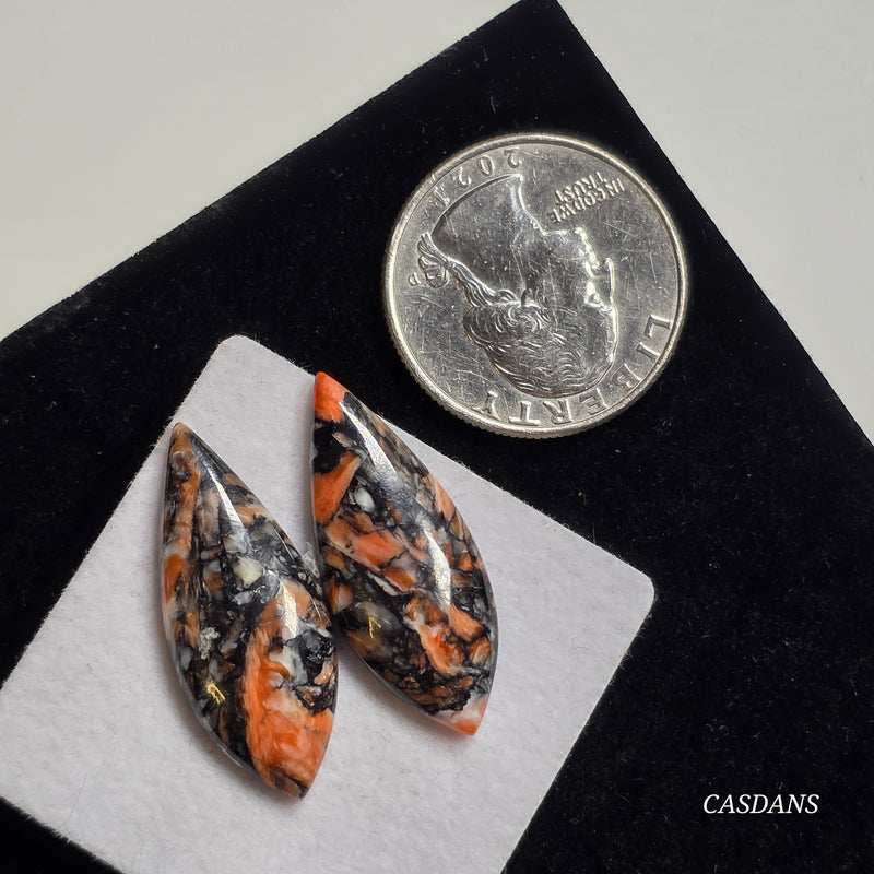 Spondylus Night Composite Cabochon Pair