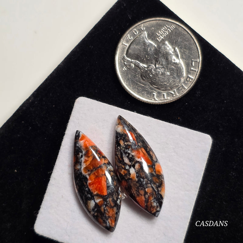 Spondylus Night Composite Cabochon Pair
