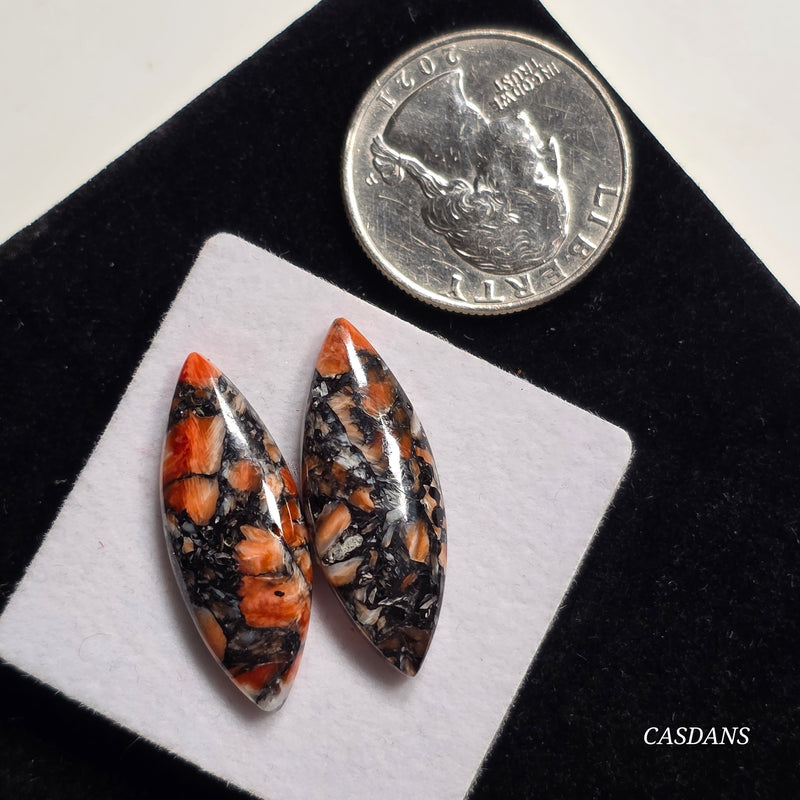 Spondylus Night Composite Cabochon Pair