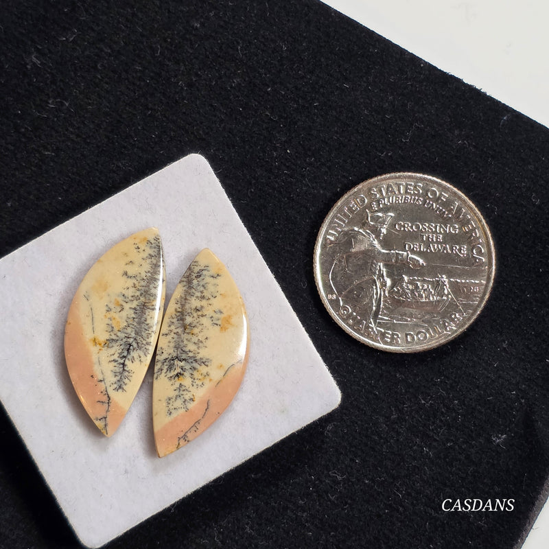 Dendritic Jasper Cabochon