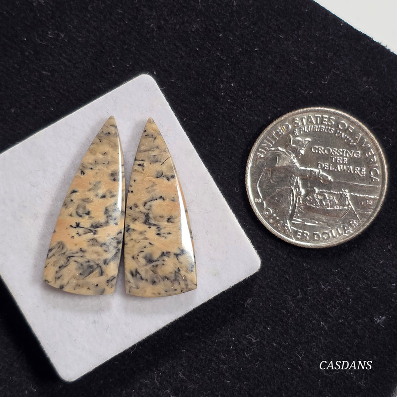 Dendritic Jasper Cabochon