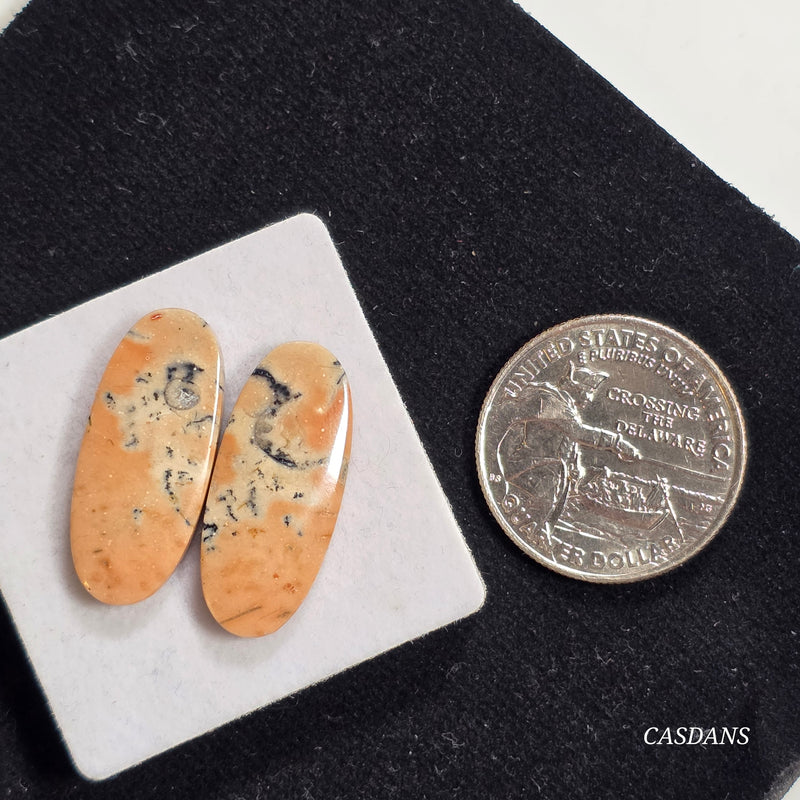 Dendritic Jasper Cabochon