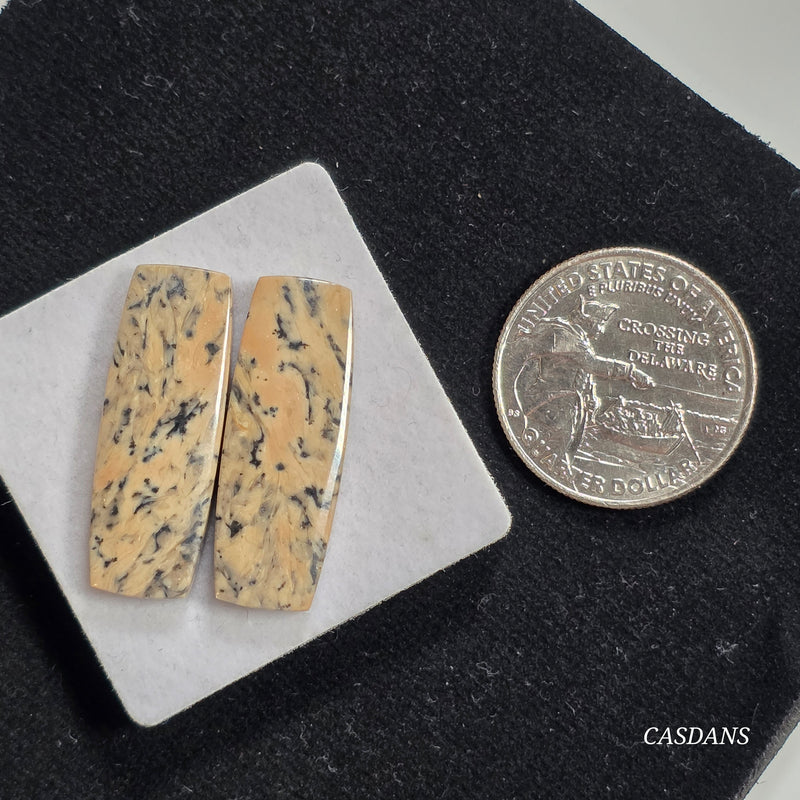 Dendritic Jasper Cabochon