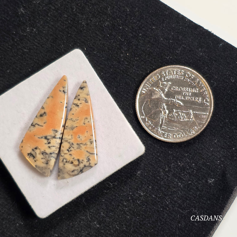 Dendritic Jasper Cabochon