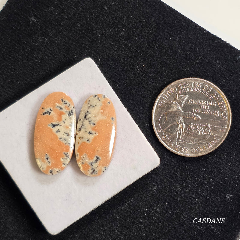 Dendritic Jasper Cabochon