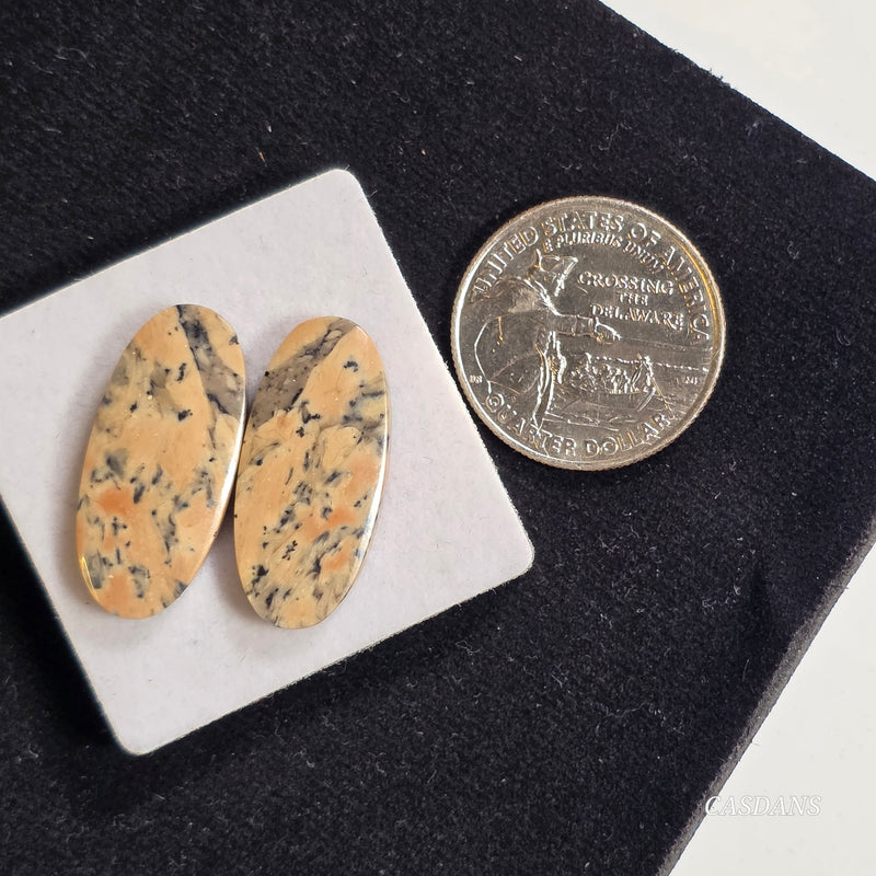 Dendritic Jasper Cabochon