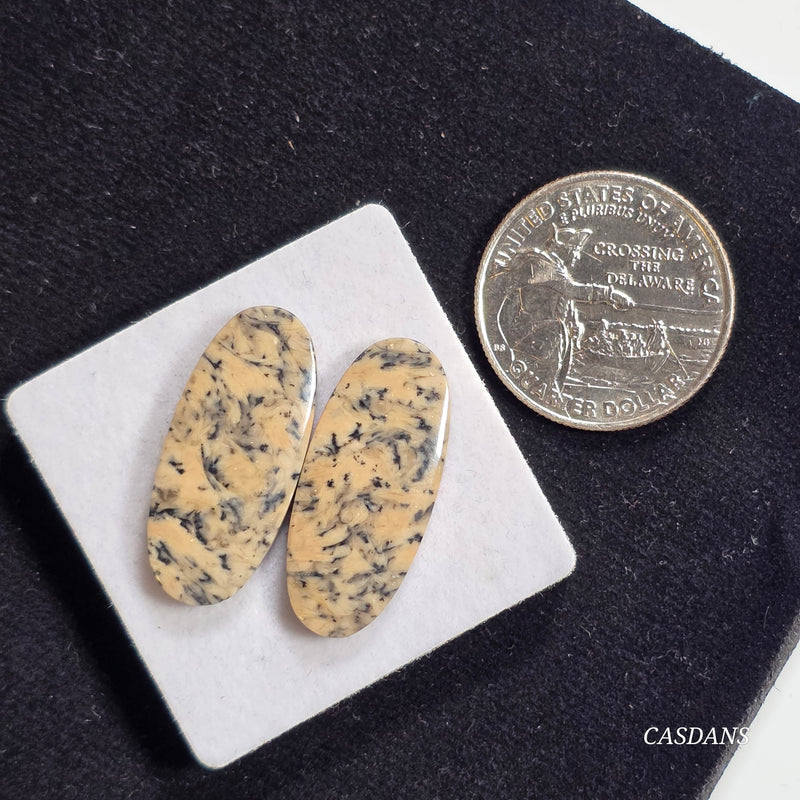 Dendritic Jasper Cabochon