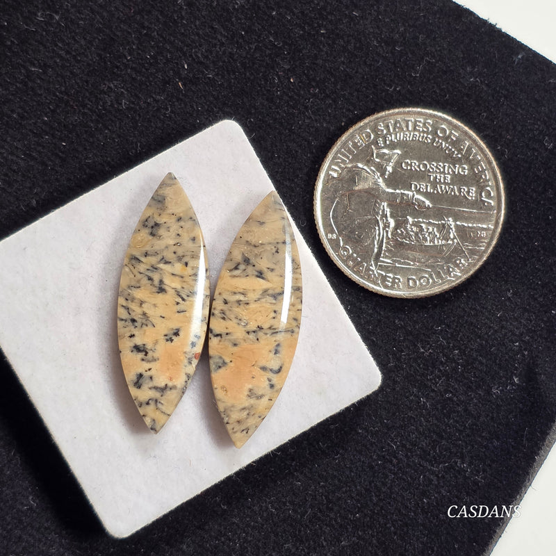 Dendritic Jasper Cabochon